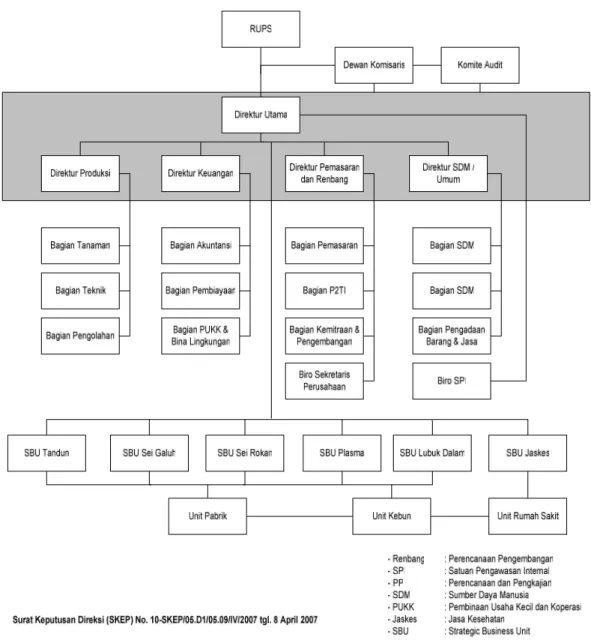 Gambar III.I Struktur Organisasi PT. Perkebunan Nusantara V Pekanbaru.