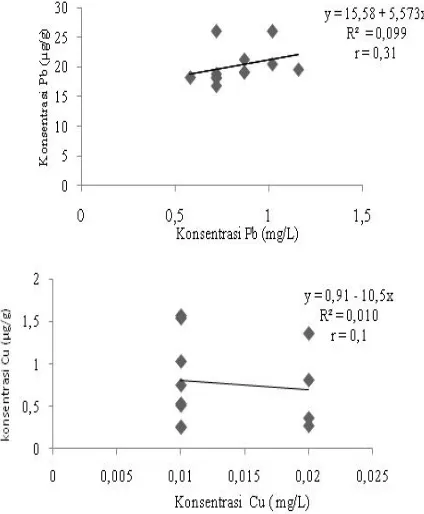 Gambar 2.   Hubungan Konsentrasi Pb dan Cu pada Air Laut dan Sedimen 