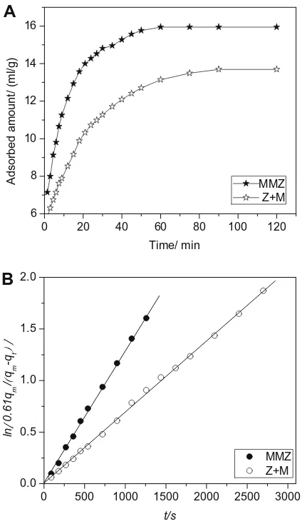 Fig. 4. The adsorption kinetics curves ofand physical mixture Z + M. (B) Uptake proﬁles in a long time domain