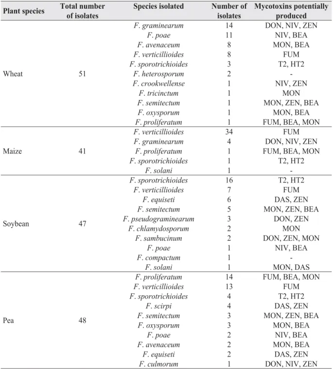 Table 2 Fusarium species isolated from grain and toxigenic proﬁ les of species determined