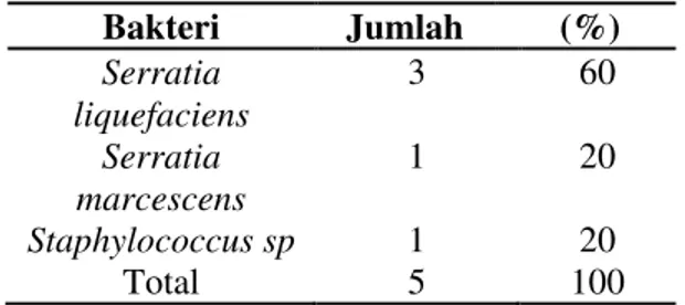Tabel  9.  Pertumbuhan  Bakteri  Sampel  Udara  Pagi  Bakteri  Jumlah   (%)  Serratia  liquefaciens  3  60  Serratia  marcescens  1  20  Staphylococcus sp  1  20  Total  5  100 