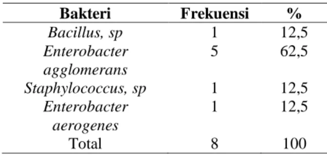 Tabel 7 menunjukkan  4 jenis bakteri  dari 8 sampel yaitu Bacillus, sp  total 1  sampel (12,5%), Enterobacter agglomerans  total 5 sampel (62,5%), Staphylococcus, sp  total 1 sampel (12,5%), Enterobacter  aerogenes total 1 sampel (12%)