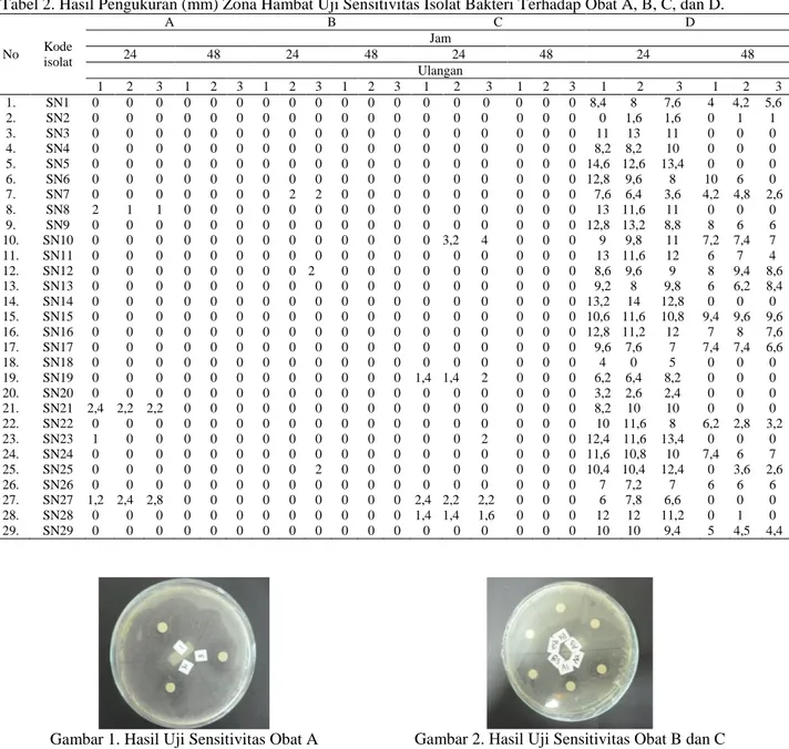 Tabel 2. Hasil Pengukuran (mm) Zona Hambat Uji Sensitivitas Isolat Bakteri Terhadap Obat A, B, C, dan D