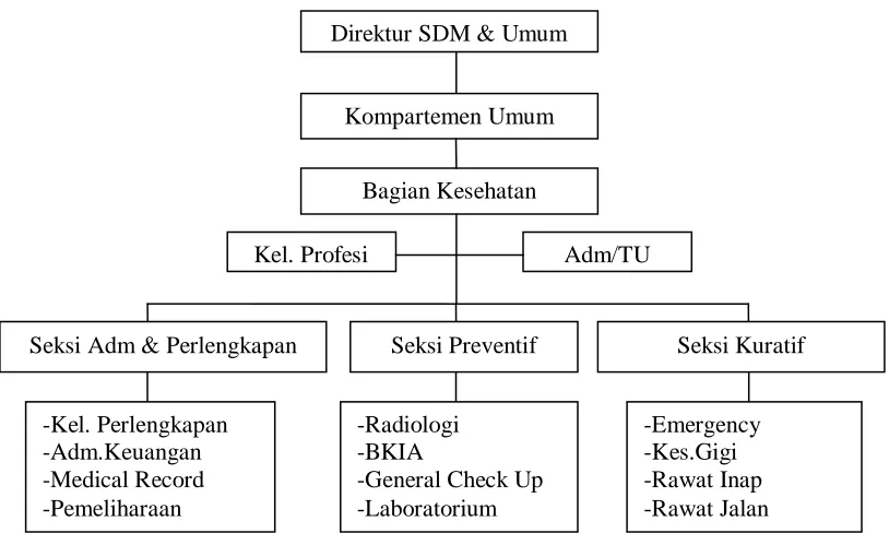 Gambar 1. Struktur organisasi RS PT Pupuk Iskandar Muda34 