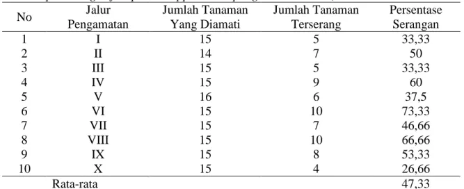 Tabel 4. Persentase Tanaman Gaharu (Aquilaria spp) Yang Terserang Serangga Hama (The percentage of Aquilaria spp The Esophageal Insect Pest).