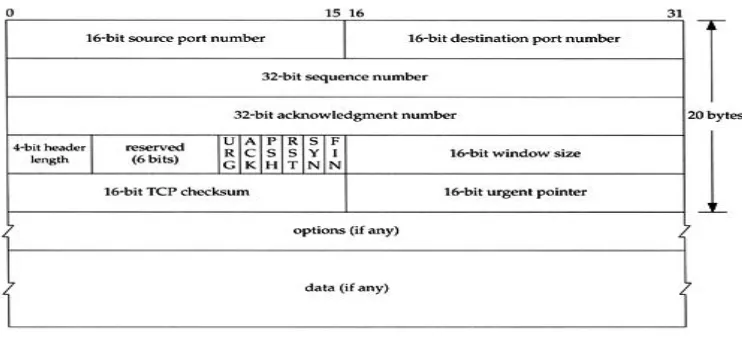 Gambar 2.7 Format Segmen TCP  