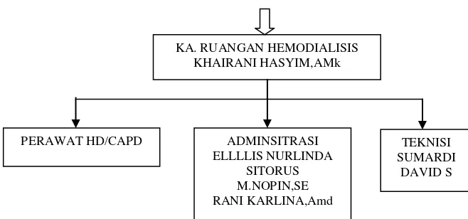 Tabel 4.1 Karakteristik perawat Instalasi Hemodialisa 