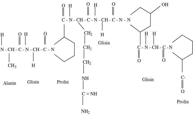 Gambar 2.1.      Struktur Kimia Gelatin (Chaplin,2006) 