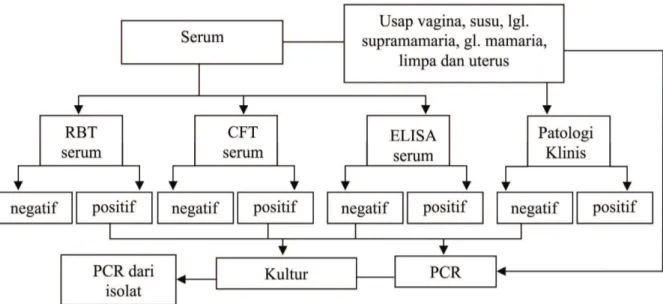 Gambar 1. Bagan rancangan percobaan