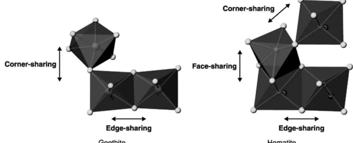 Gambar  2  merupakan  diagram  stabilitas  yang  menunjukkan  bentuk/spesies  dominan  dari  besi  yang  stabil  pada  kondisi  potensial  redoks  dan  pH  yang  spesifik