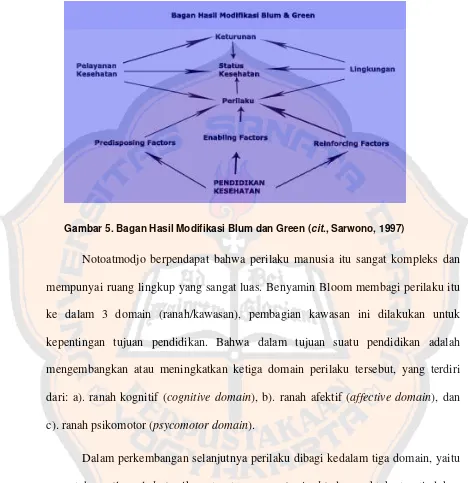 Gambar 5. Bagan Hasil Modifikasi Blum dan Green (cit., Sarwono, 1997) 