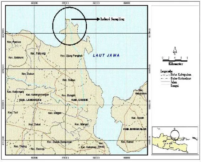 Gambar 1. Lokasi penelitian di perairan Ujung Pangkah, Kabupaten Gresik, Jawa Timur 