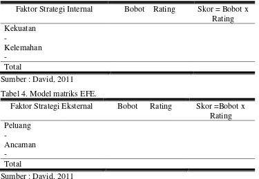 Tabel 3. Model matriks IFE. 