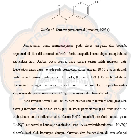Gambar 3. Struktur parasetamol (Anonim, 1995a) 