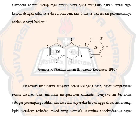 Gambar 5. Struktur umum flavonoid (Robinson, 1995) 