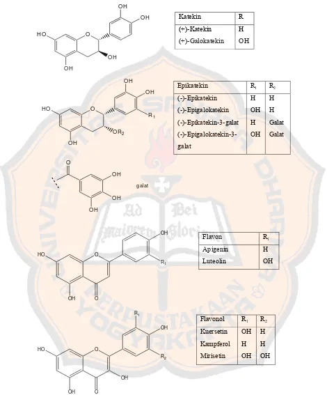 Gambar 6. Struktur senyawa katekin, epikatekin, flavon, dan flavonol 