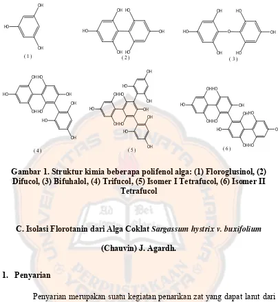 Gambar 1. Struktur kimia beberapa polifenol alga: (1) Floroglusinol, (2) 