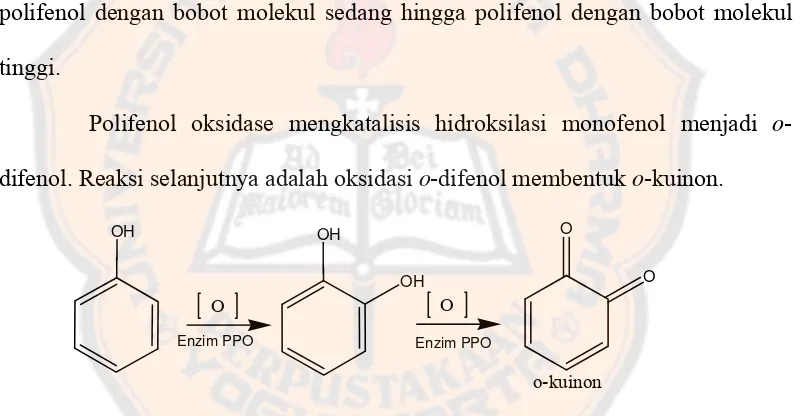 Gambar 3. Oksidasi fenol oleh enzim polifenol oksidase (Sullivan et al., 2003)