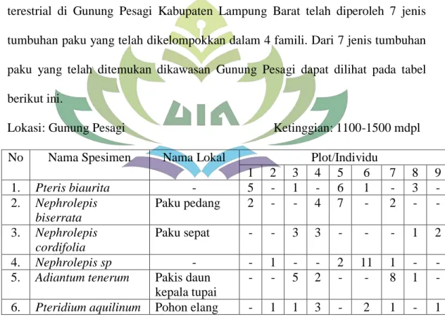 Tabel 4.1 Data Spesies Tumbuhan Paku Untuk Masing-masing Petak   Berdasarkan tabel 4.1 diatas menunjukkan bahwa ditemukannya 6 spesies  tumbuhan  paku  sejati  terestrial  yang  berada  di  Gunung  Pesagi  kabupaten  Lampung  Barat  diantaranya  yaitu  Pte