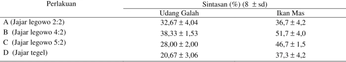 Tabel  2.   Rata-rata Sintasan Udang Galah dan Ikan Mas Menurut Perlakuan pada Sistem Mina Padi di Kabupaten  Soppeng, 2002 