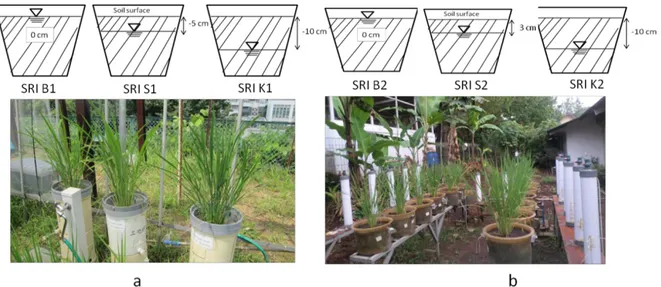 Gambar 2  Perlakuan pemberian air irigasi pada masing-masing percobaan 