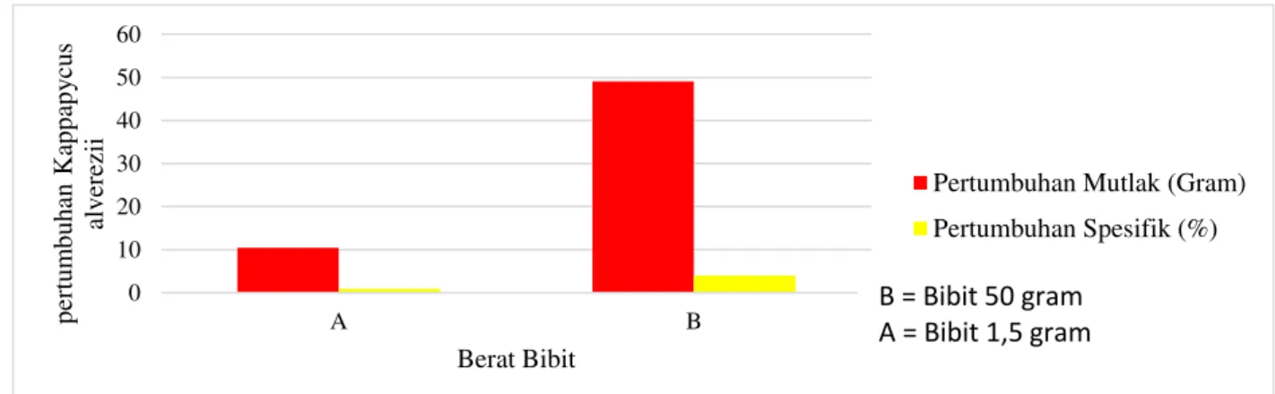 Tabel  3.  Hasil  Analisis  Sidik  Ragam  Pertumbuhan  Mutlak  terhadap  Berat  Bibit  yang  Berbeda 