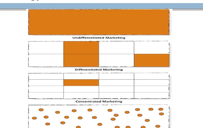 Figure 7.3: Choosing a Target Marketing 