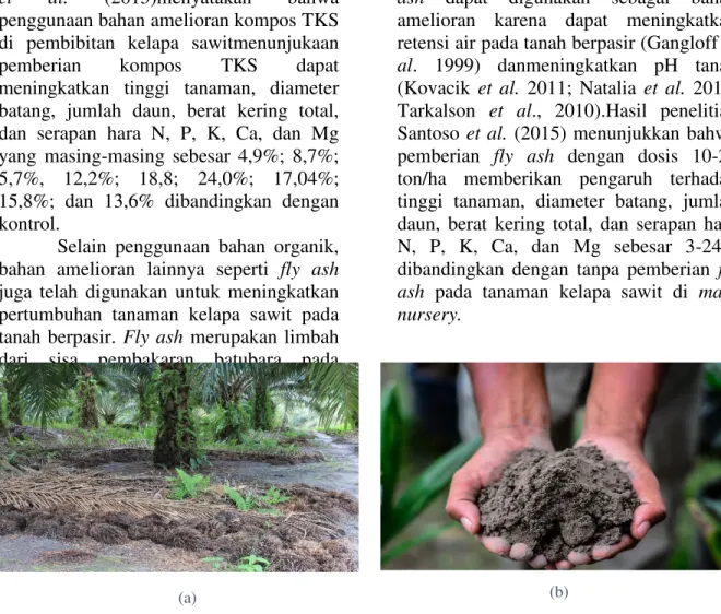 Gambar 1.  Aplikasi bahan amelioran pada kelapa sawit  (a) Penggunaan  TKS pada tanaman  kelapa sawit menghasilkan; (b)  fly ash dapat digunakan sebagai bahan amelioran