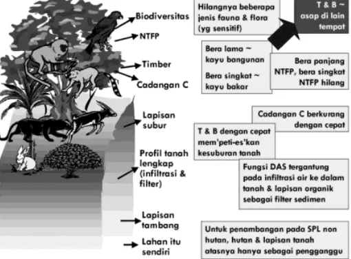 Gambar 3. Fungsi hutan ditinjau dari segi biologi, ekonomi dan pertambangan (Van Noordwijk et al., 2001)