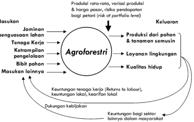 Gambar 6.  Hubungan skematis antara masukan dan keluaran serta kegiatan lainnya dalam pengembangan agroforestri