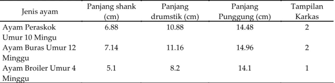 Tabel 2.  Rataan  panjang  shank,  panjang  drumstik,  dan  panjang  punggung,  serta  tampilan  karkas  pada umur potong belah empat 
