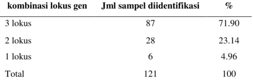 Tabel 4. Kombinasi P. falciparum Lokus Gen MSP1, MSP2 dan GLURP   pada Penderita Malaria di Kalimantan dan Sulawesi   