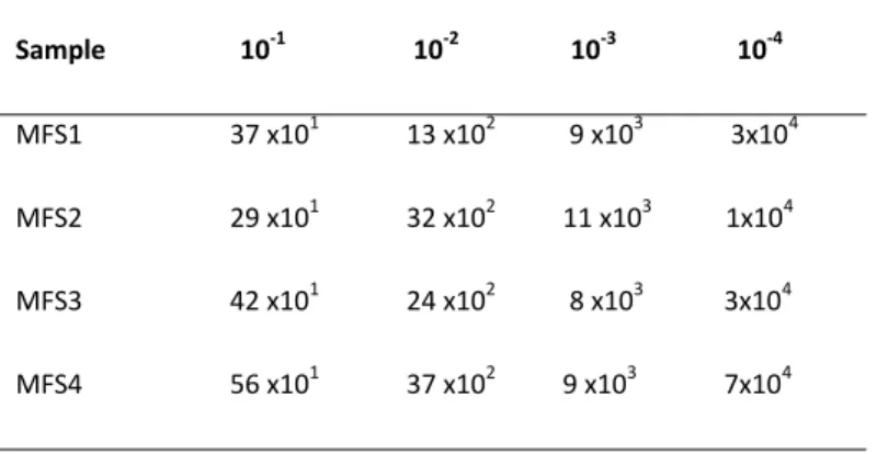 Tabel 1. Perhitungan jumlah koloni pada sampel minyak sel/mL 