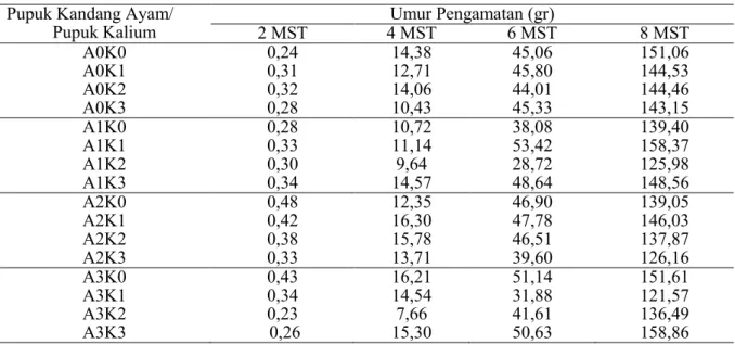 Tabel 3. Data bobot kering jagung manis akibat perlakuan pupuk kandang ayam dan kalium.