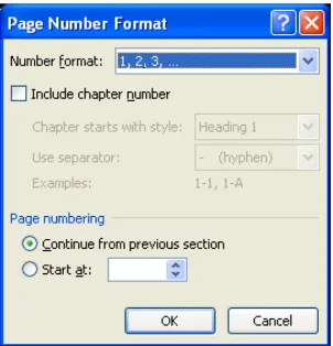 Gambar 5.9 Kotak Dialog Page Number Format 