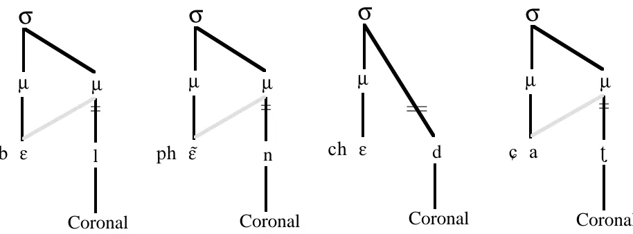 Figure 8. Coronal Edge Constraint with Compensatory Lengthening