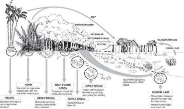 Gambar 1. Ilustrasi jaring-jaring makanan dalam ekosistem hutan mangrove serta manfaatnya  (Sumber: Noor et al., 2006)