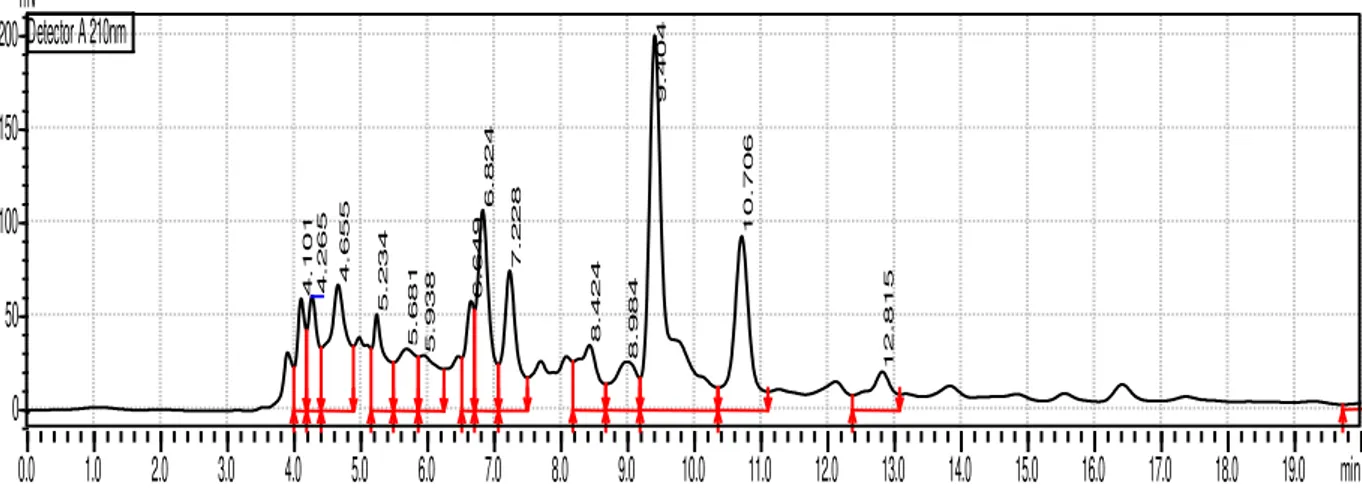 Gambar 1 ‒ Kromatogram HPLC  Sampel Gula Gorontalo 