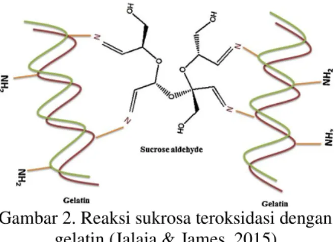 Gambar 3. Reaksi glutaraldehid dengan  gelatin (Morsy, Hosny, Reisha, &amp; Elnimr, 