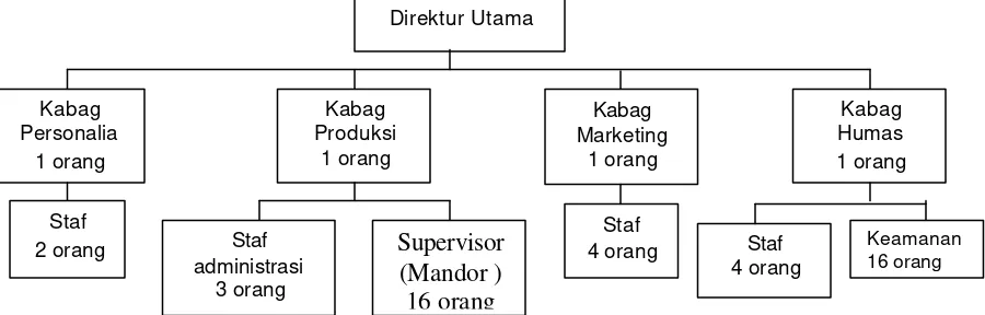 Gambar 1. Gambar Struktur Organisasi PT. Merapi Agung Lestari 