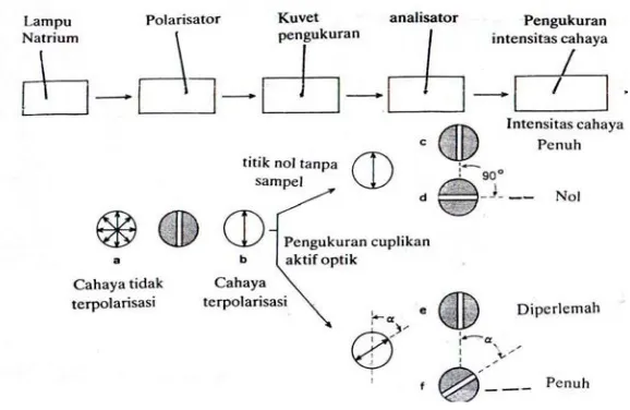 Gambar 1. Skema Alat Polarimeter (Roth, 1994). 