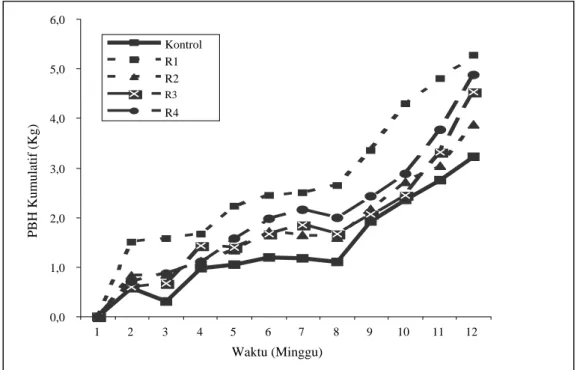 Gambar 1 menunjukkan bahwa pertambahan bobot  hidup domba yang mendapatkan tambahan  probio-katalitik A pada tingkat 0,5% dalam pakan konsentrat  (R1) lebih tinggi dibandingkan pemberian pada tingkat  1,0% (R2)