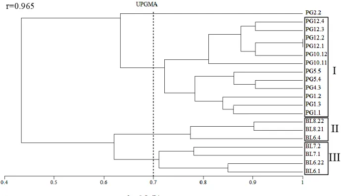 Gambar  2Dendogram  analisis  kluster  20  isolat  khamir  dari  Kebun  Raya  Baturraden  dan  Panggeran, Hargobinangun dengan Jaccard’sCoefficient 