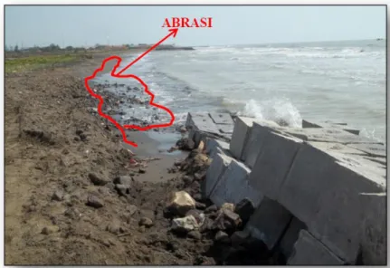 Gambar 2. Abrasi di Pantai Tirtamaya, Kabupaten Indramayu. 