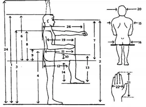 Gambar 2. Data anthrophometri untuk  perancangan produk atau fasilitas 