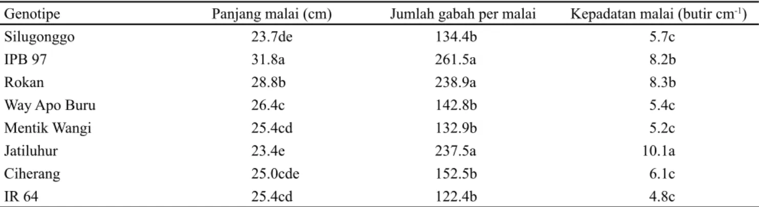 Tabel 4.  Produksi gabah dan total konsumsi air sejak pindah tanam hingga panen pada genotipe  padi