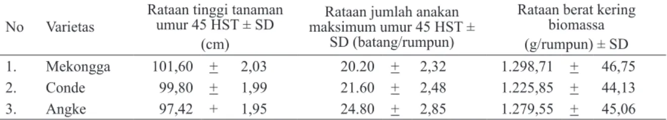Tabel 1. Keragaan Tiga Varietas Padi terhadap Tinggi Tanaman, Jumlah Anakan Maksimum dan Bobot Jerami  di Desa Ipar Bondar MK 2008