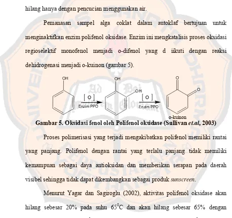 Gambar 5. Oksidasi fenol oleh Polifenol oksidase (Sullivan  et.al, 2003) 