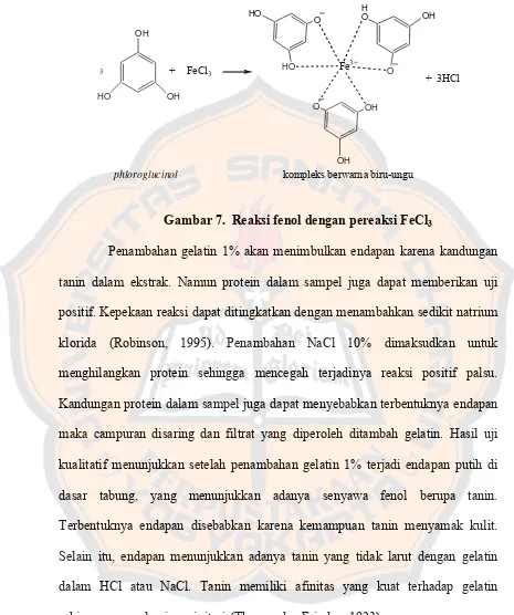 Gambar 7.  Reaksi fenol dengan pereaksi FeCl3 