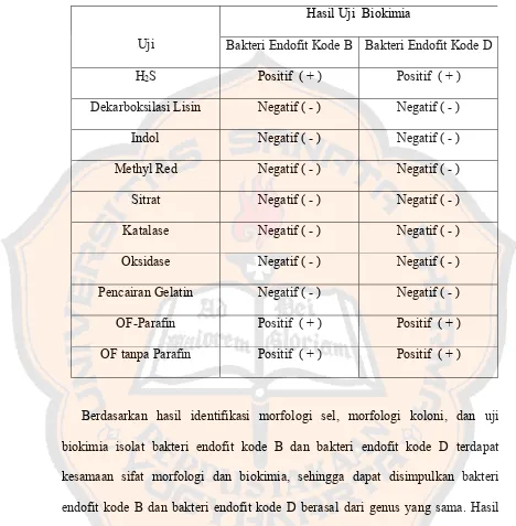 Tabel V. Hasil Uji Biokimia Bakteri Endofit Kode B dan Endofit Kode D 